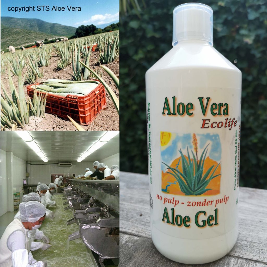 stuk Kijkgat Dageraad Aloe Vera Webshop - Aloe Vera Puur & Gezond aloe vera kopen online gel