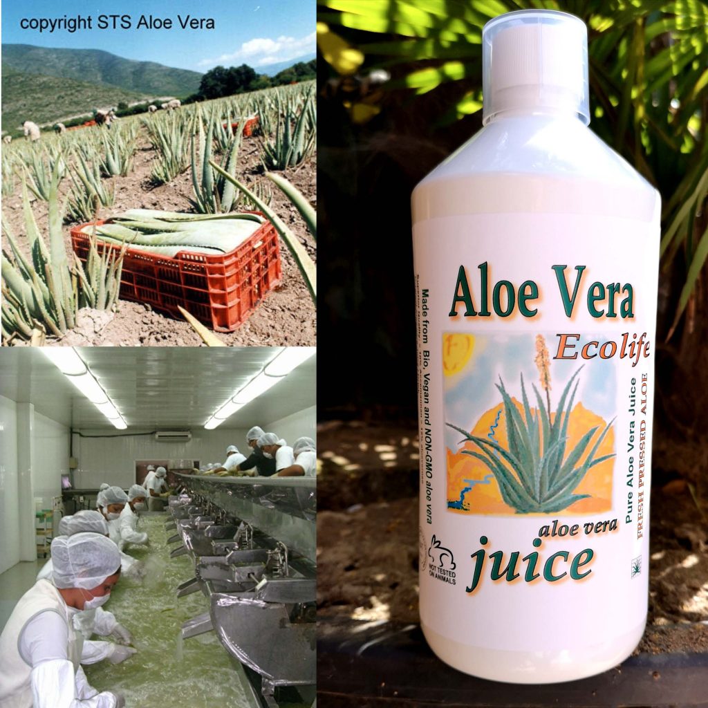 Aloe Juice - bio - puur en koud verwerkt. Premium kwaliteit aloë