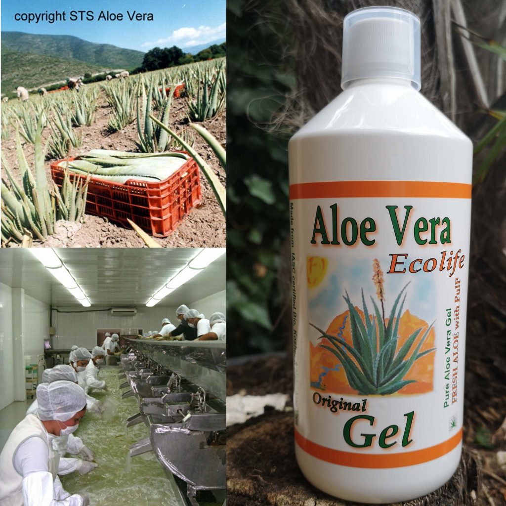 aloe vera Gel 200% puur