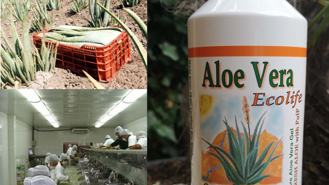 Aloe Vera Dranken